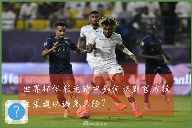 世界杯体彩竞猜中如何识别官方投注渠道以避免风险？