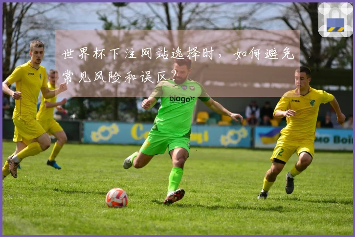 世界杯下注网站选择时，如何避免常见风险和误区？