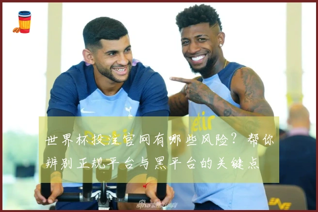 世界杯投注官网有哪些风险？帮你辨别正规平台与黑平台的关键点